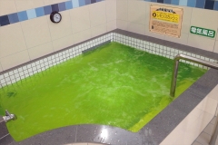 dailybath