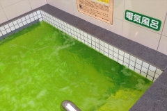 elecbath